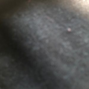 Meet your Posher, Lesroy